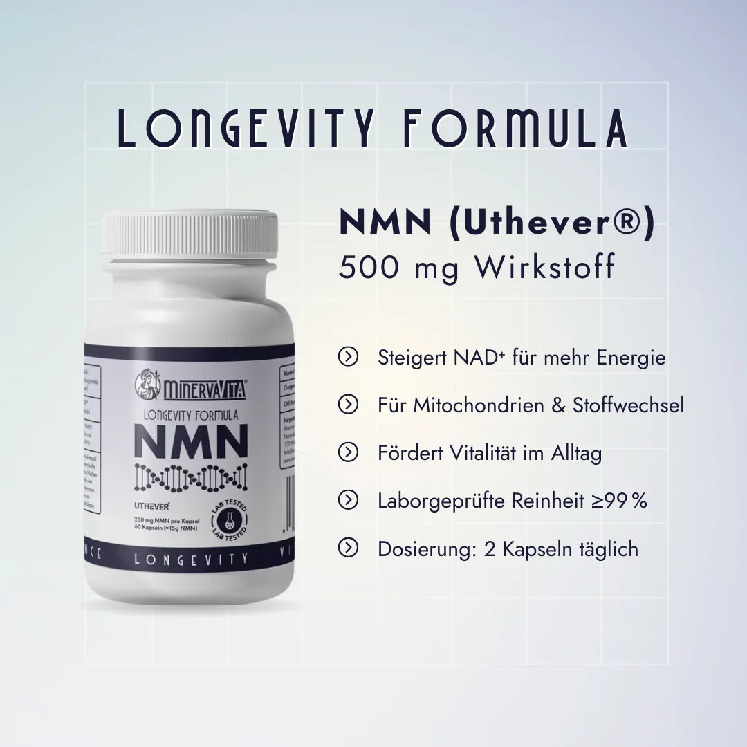 Minerva-Vita NMN Kapseln mit Uthever® – 500 mg Wirkstoff pro Tagesdosis. Laborgeprüfte Reinheit ≥99 %, steigert NAD⁺ für mehr Energie, unterstützt Mitochondrien, Stoffwechsel und Vitalität.