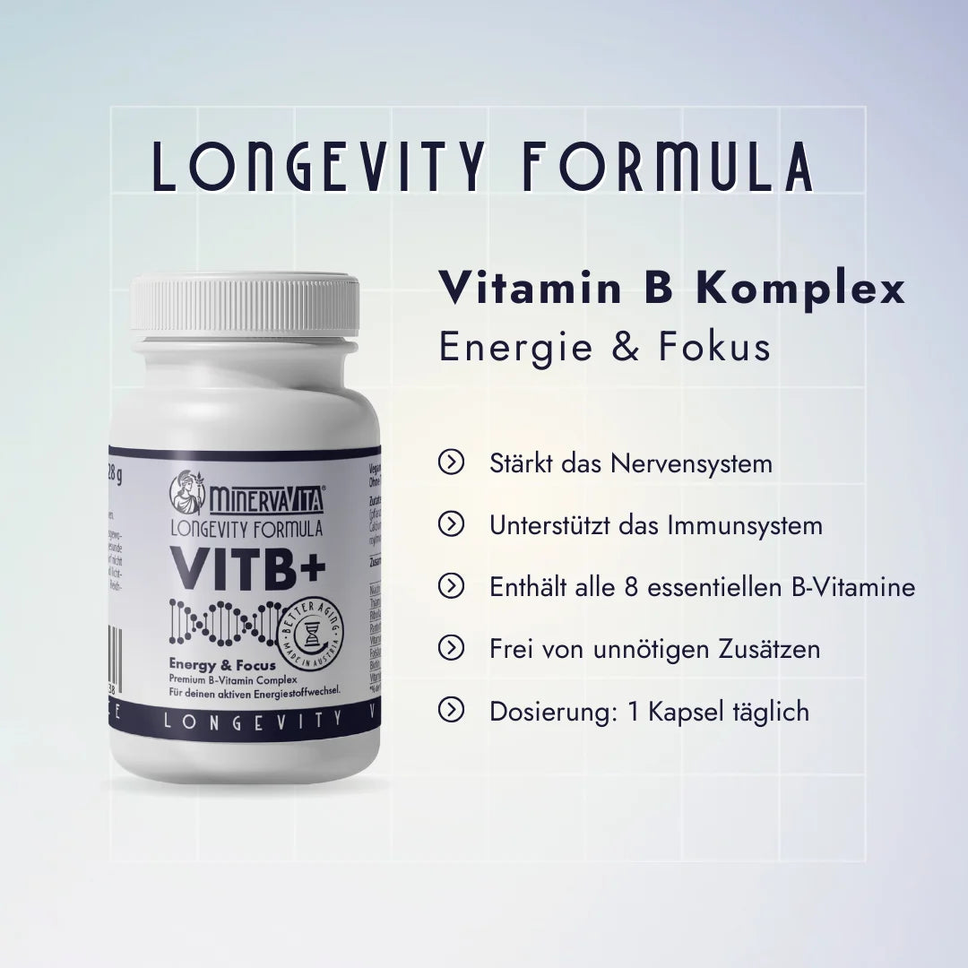 VITB+ Komplex – unterstützt mentale Leistung, Zellstoffwechsel und Stressbalance