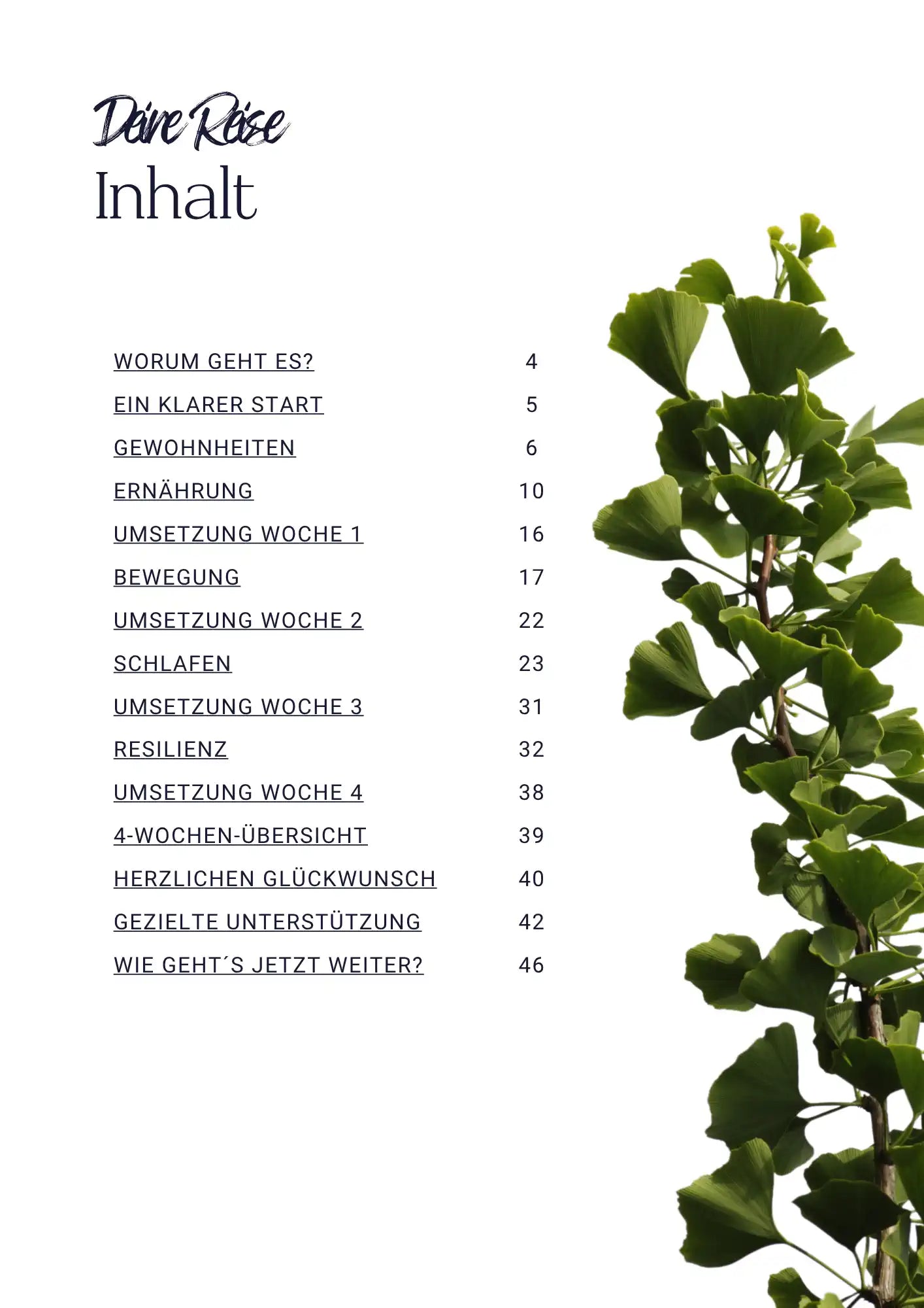 Inhaltsverzeichnis des Minerva-Vita E-Books zum Thema Longevity und Better-Aging. Aufgelistet sind Kapitel zu Ernährung, Schlaf, Bewegung, Resilienz und zellulärer Gesundheit. Rechts im Bild befindet sich ein Ginkgo-Blatt – Symbol für Langlebigkeit, Regeneration und Vitalität.