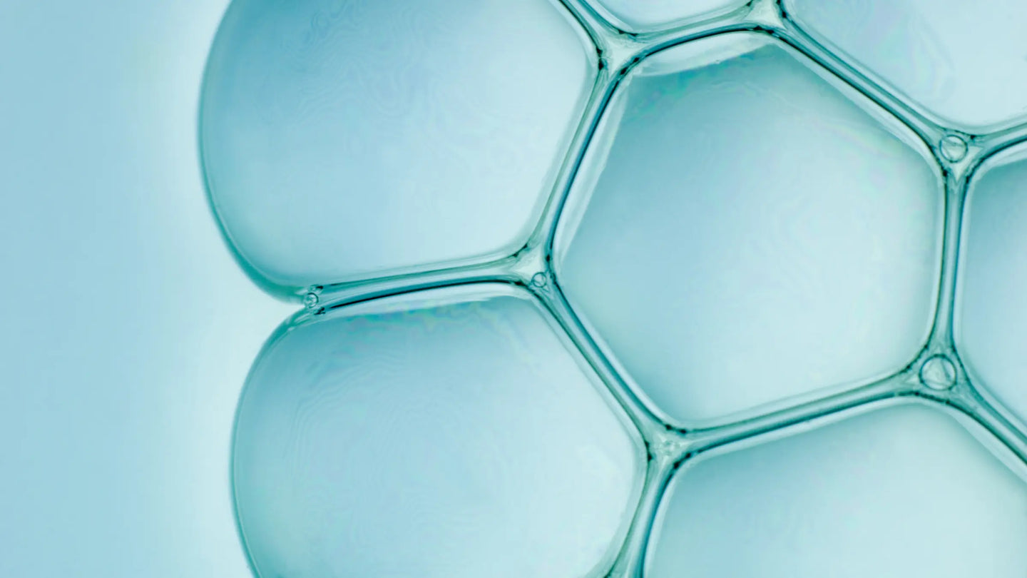 SOD und Katalase gehören zu den wichtigsten körpereigenen Enzymsystemen, die reaktive Sauerstoffspezies neutralisieren und oxidativen Stress begrenzen.