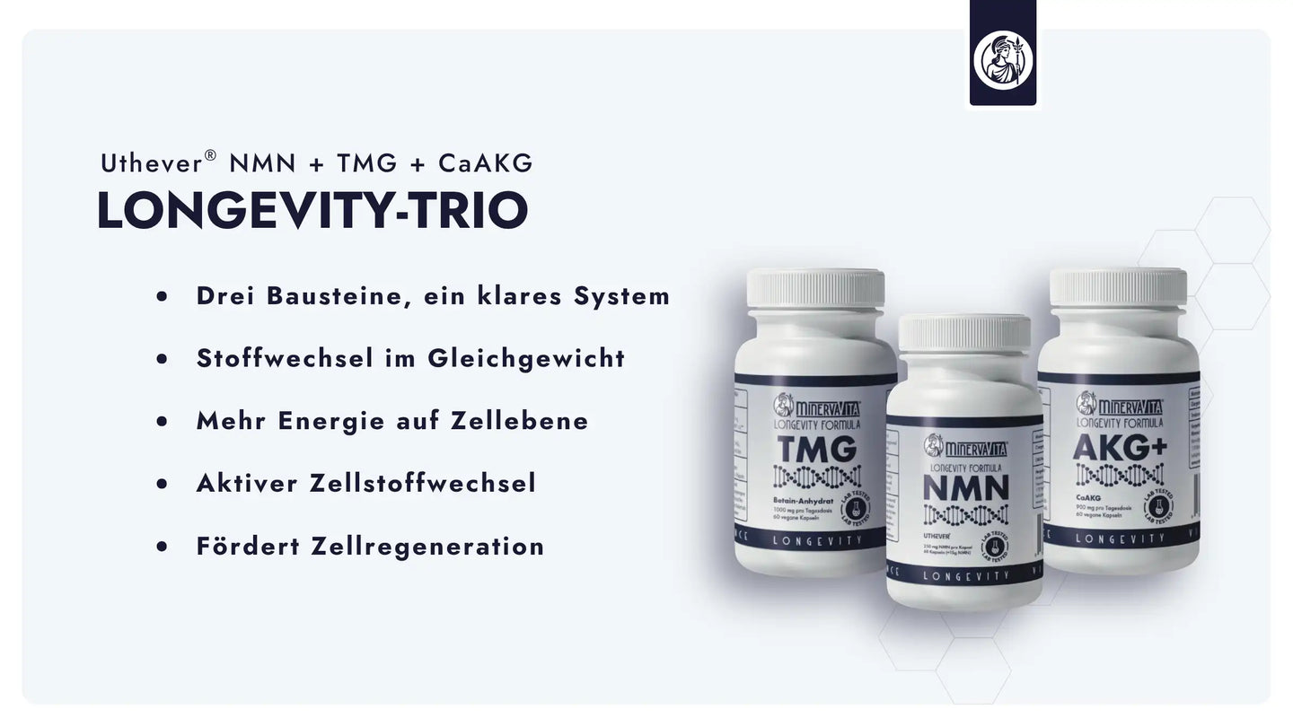 Das Longevity-Trio kombiniert NMN, CaAKG und Betain (TMG) - 3 Wirkstoffe aus der Longevity-Forschung.