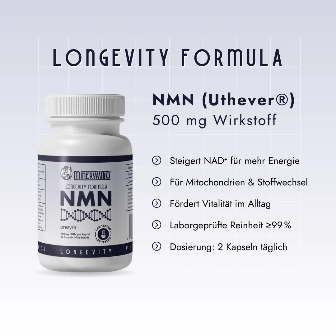 Minerva-Vita NMN Kapseln mit Uthever® – 500 mg Wirkstoff pro Tagesdosis. Laborgeprüfte Reinheit ≥99 %, steigert NAD⁺ für mehr Energie, unterstützt Mitochondrien, Stoffwechsel und Vitalität.