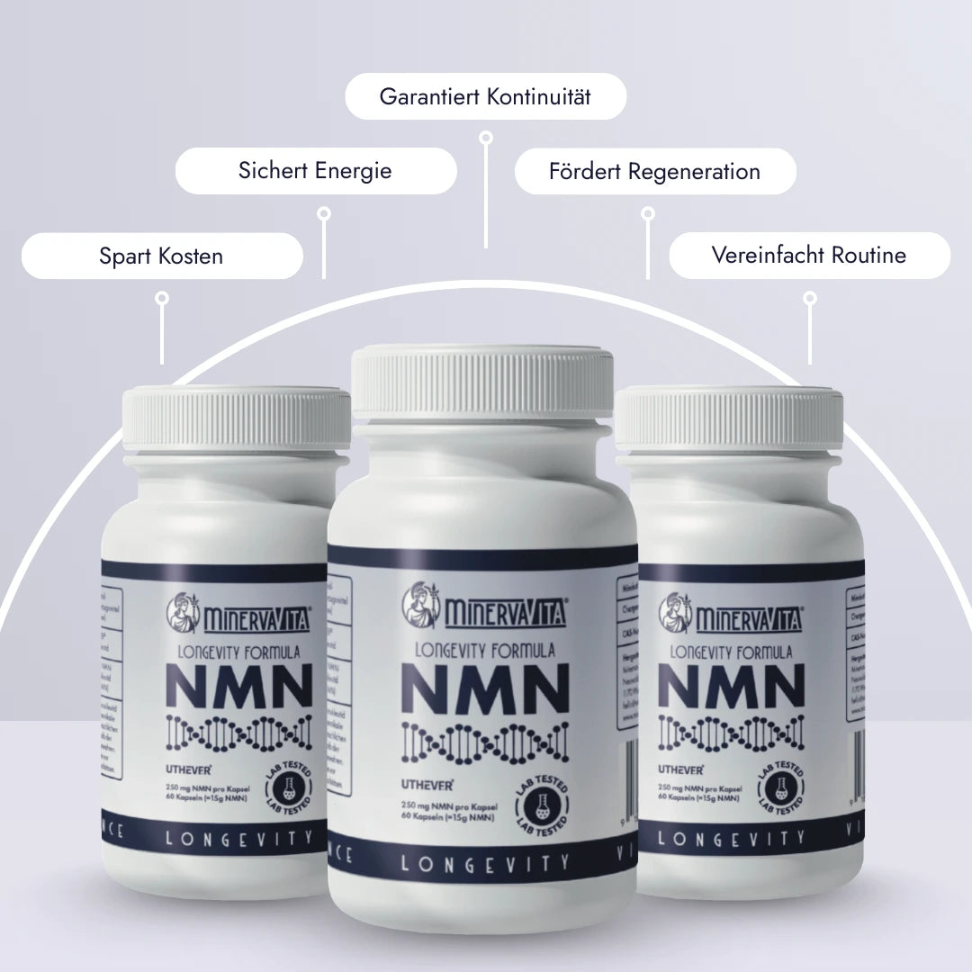 NMN Bundle – reine β-NMN Formel für Energie, Longevity und zelluläre Leistungsfähigkeit