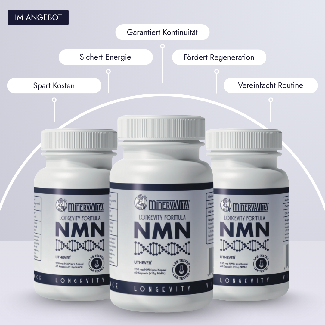Drei Flaschen Minerva-Vita NMN Kapseln im Angebot – Premium-Uthever® Wirkstoff für Energie, Regeneration und Kontinuität, mit Vorteilen wie Kosteneinsparung und einfacher Routine.