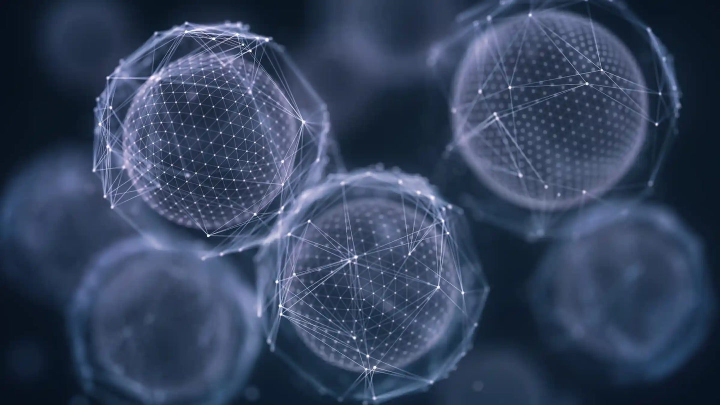 Oxidativer Stress entsteht, wenn reaktive Sauerstoffspezies (ROS) in einem Ausmaß anfallen, das die körpereigenen Schutzsysteme überfordert.