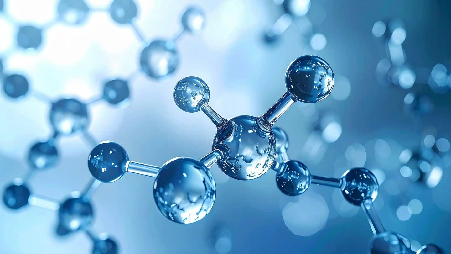 Antioxidantien-Klassen unterscheiden sich in Struktur, Löslichkeit und der Art, wie sie oxidative Belastungen im Körper abfangen.