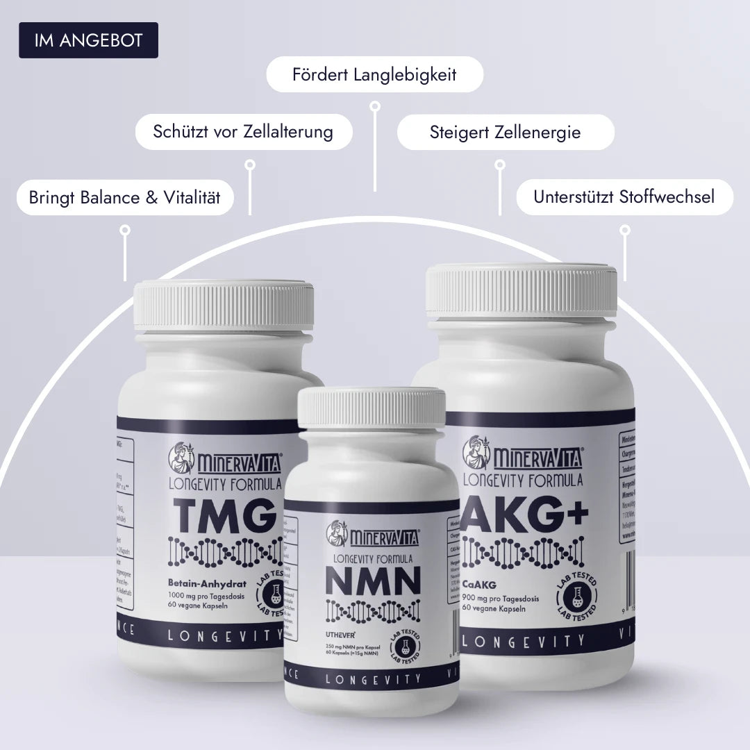 Longevity-Trio von Minerva-Vita: NMN, Ca-AKG und TMG – drei wissenschaftlich geprüfte Supplements zur Unterstützung von Zellenergie, Stoffwechsel und gesunder Alterung.