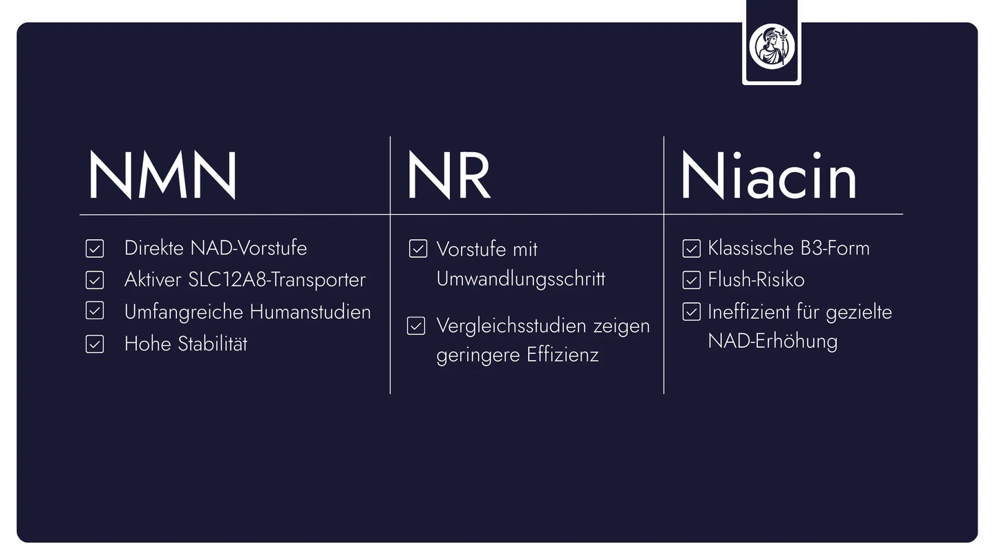 Der Vergleich von NAD⁺-Vorläufern hilft dabei, Unterschiede in biochemischer Einordnung, Stoffwechselweg und Anwendungslogik besser zu verstehen.