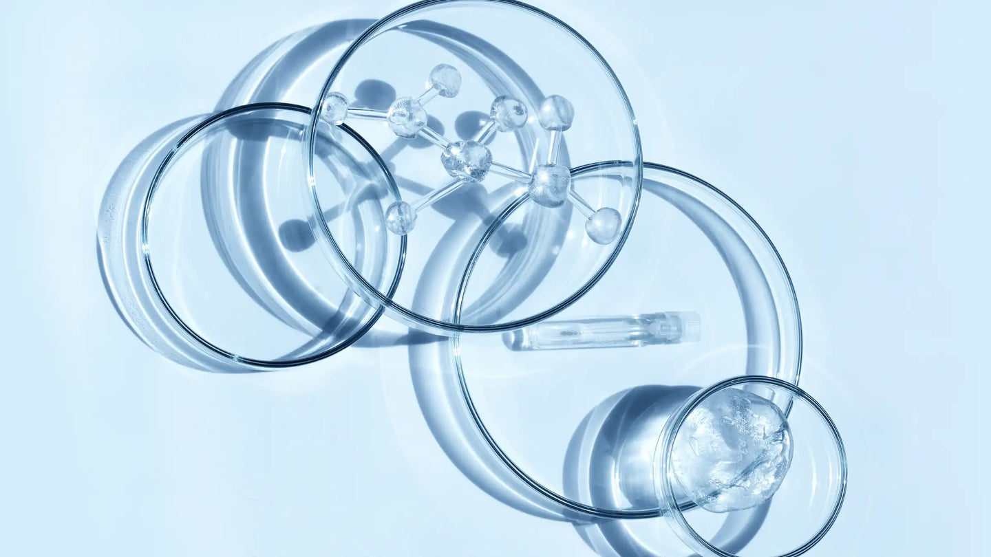 Zellschutz steht in engem Zusammenhang mit mehreren Hallmarks of Aging, weil oxidative Belastung und zelluläre Schäden zentrale Alterungsprozesse mitprägen.