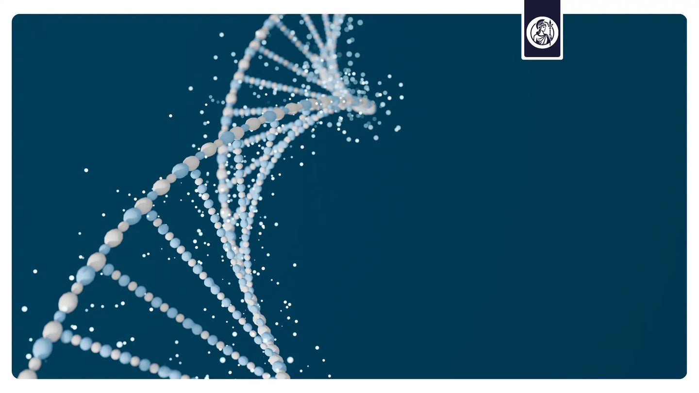 Methylgruppenspender unterscheiden sich in Funktion, Stoffwechselweg und ihrer Rolle innerhalb des Methylierungszyklus.