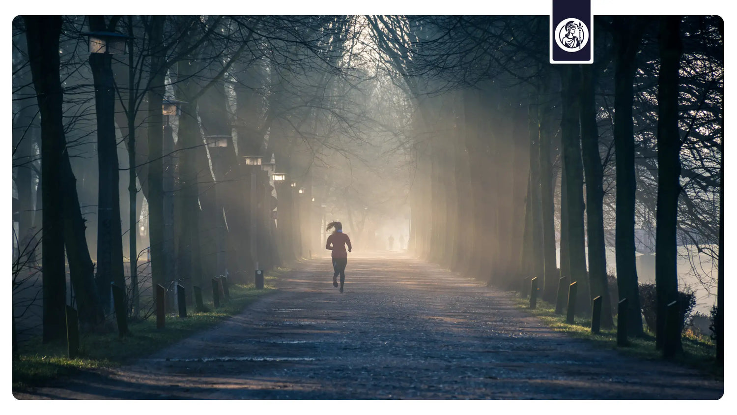 Frau läuft durch den Wald mit Sonnenaufgang.