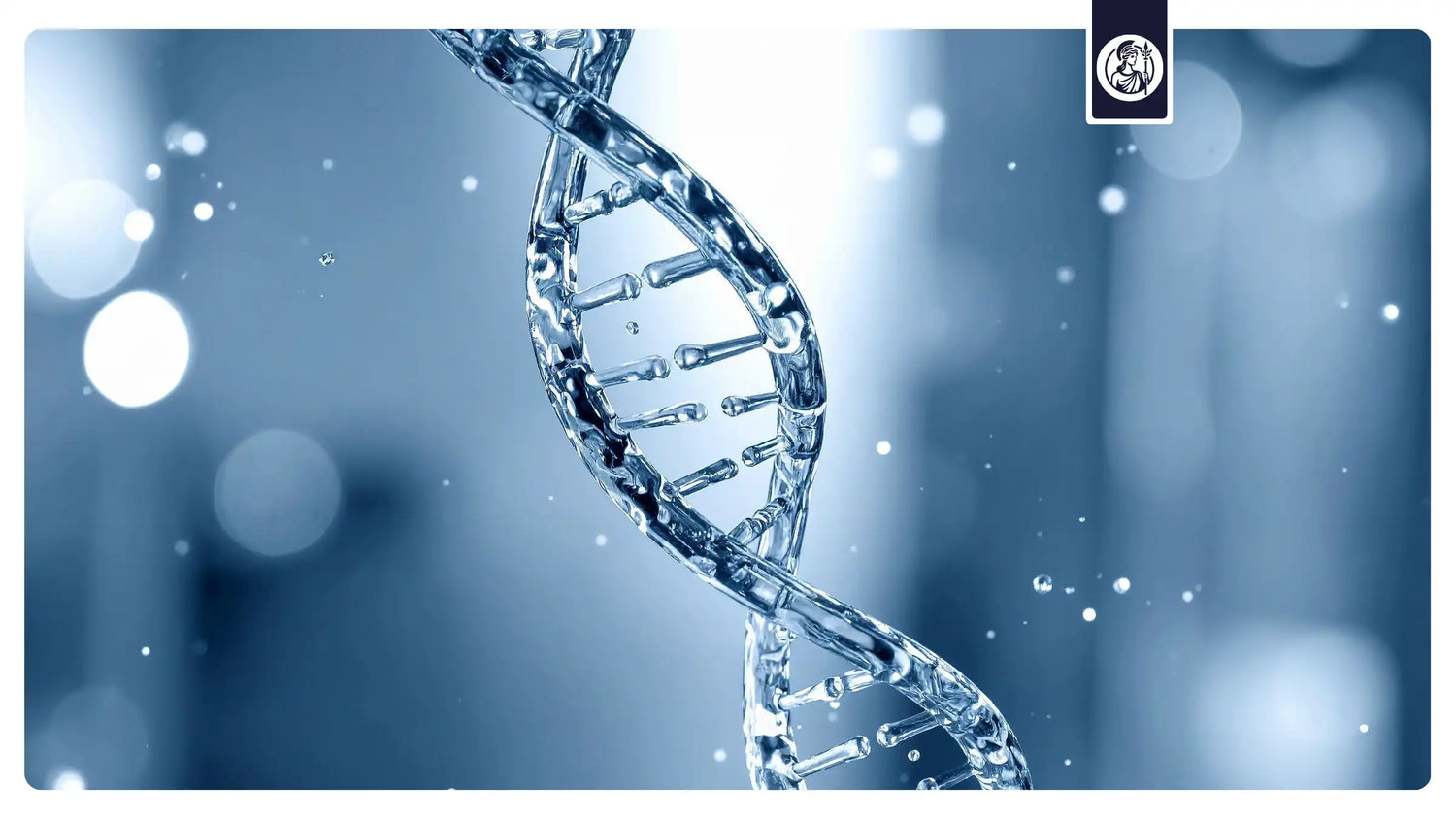 DNA-Doppelhelix als Symbol für Sirtuine, AMPK, mTOR und zentrale Signalwege der Zellalterung und Longevity-Forschung.