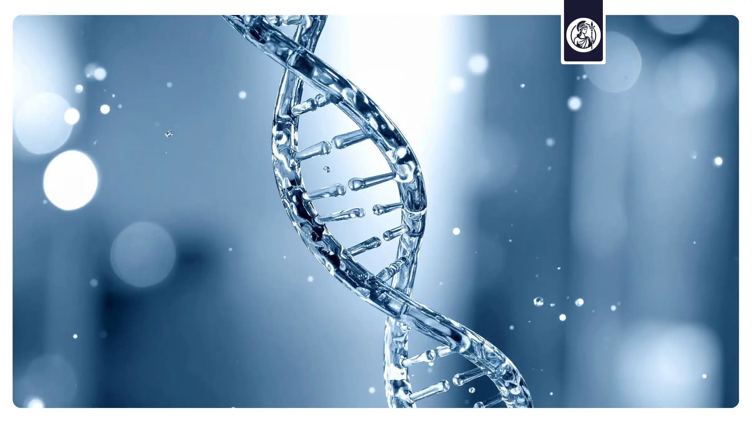 DNA-Doppelhelix als Symbol für Sirtuine, AMPK, mTOR und zentrale Signalwege der Zellalterung und Longevity-Forschung.