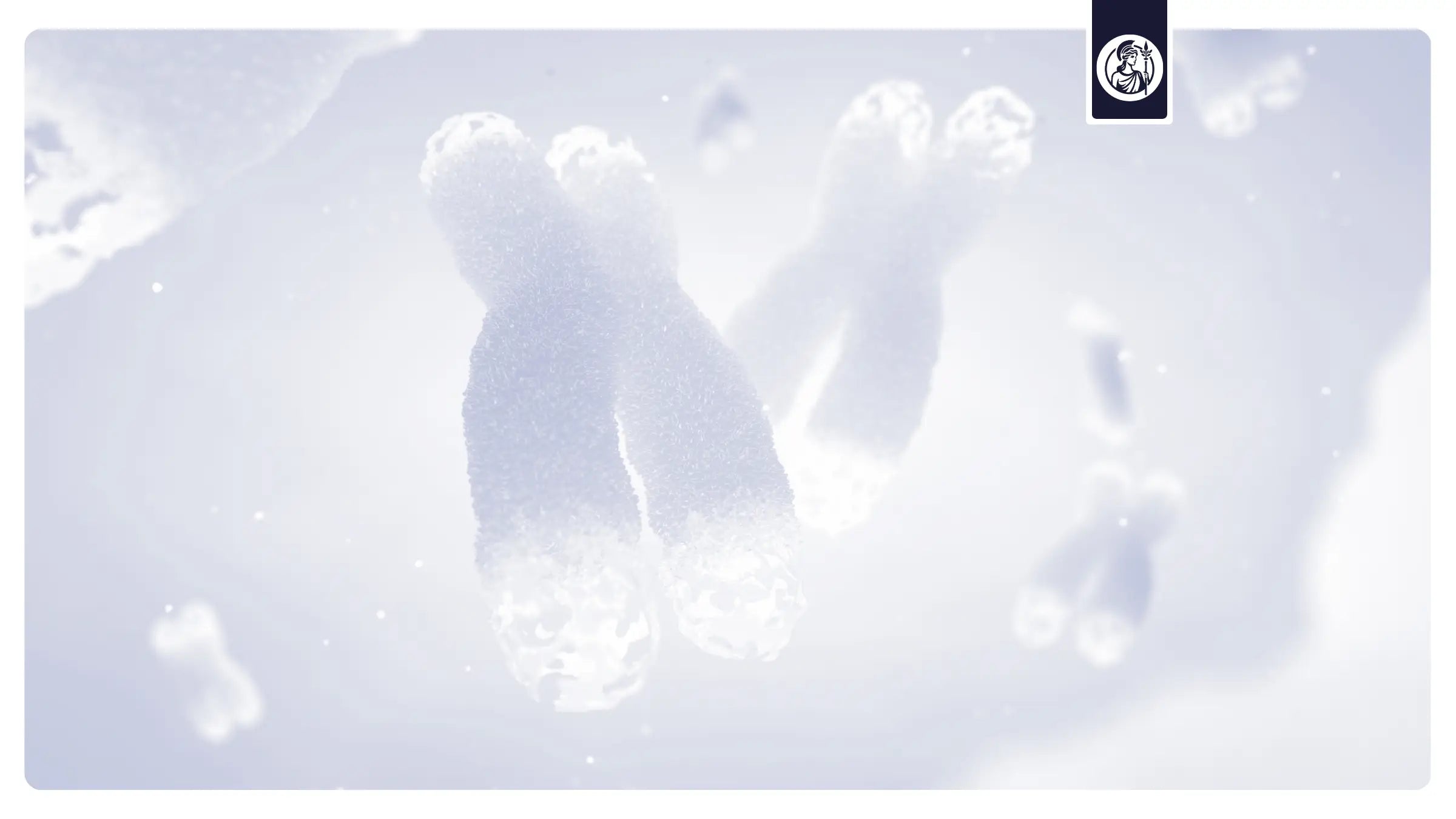 Mikroskopische Darstellung von Chromosomen als Symbol für Zellalterung, genetische Prozesse und die wissenschaftliche Erforschung von NMN.