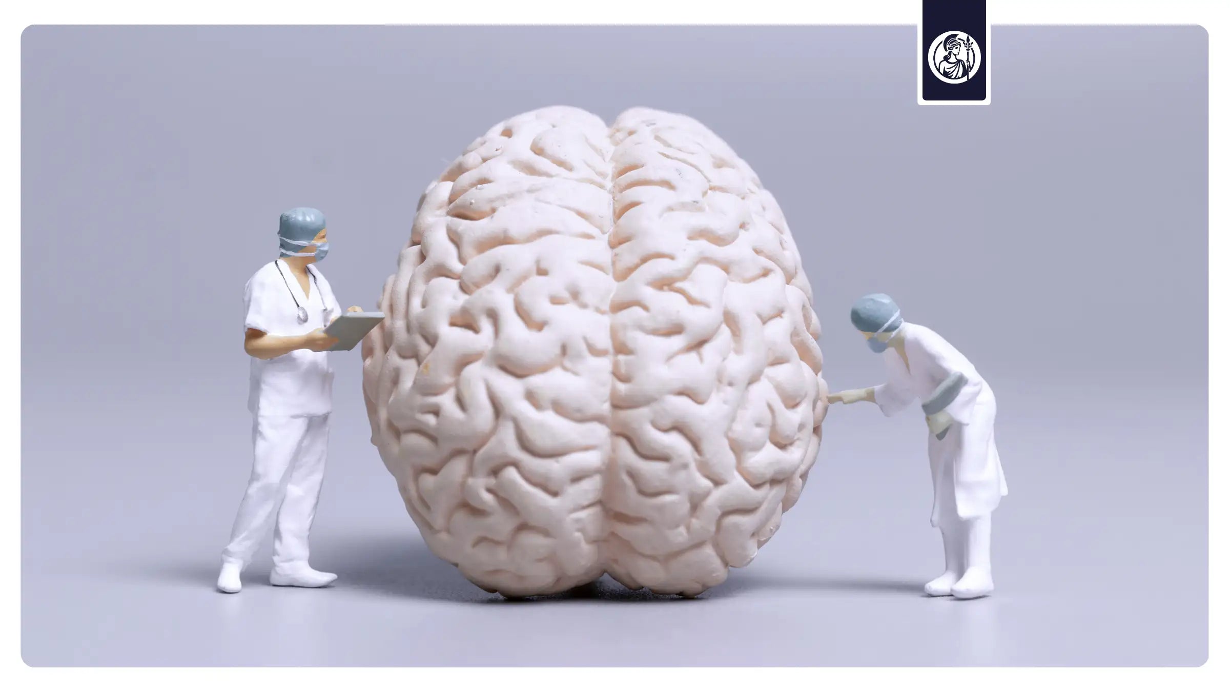 Wie bleibt das Gehirn fit? 10 Strategien für Brain-Health & Longevity