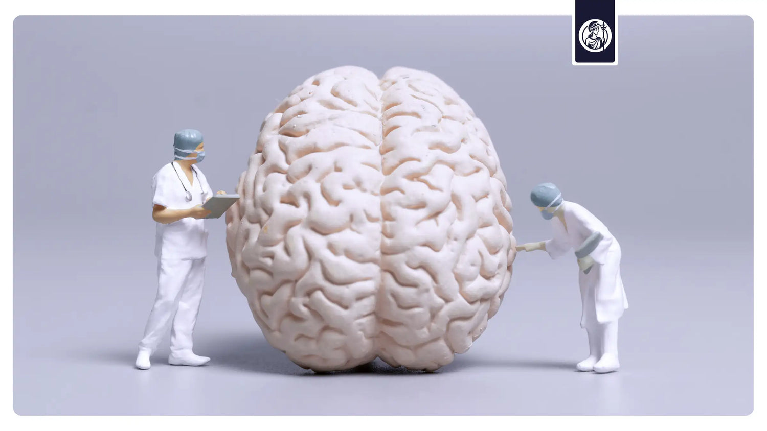 Großes Gehirnmodell mit medizinischen Figuren als Symbol für Gehirngesundheit, Forschung und langfristige kognitive Leistungsfähigkeit.