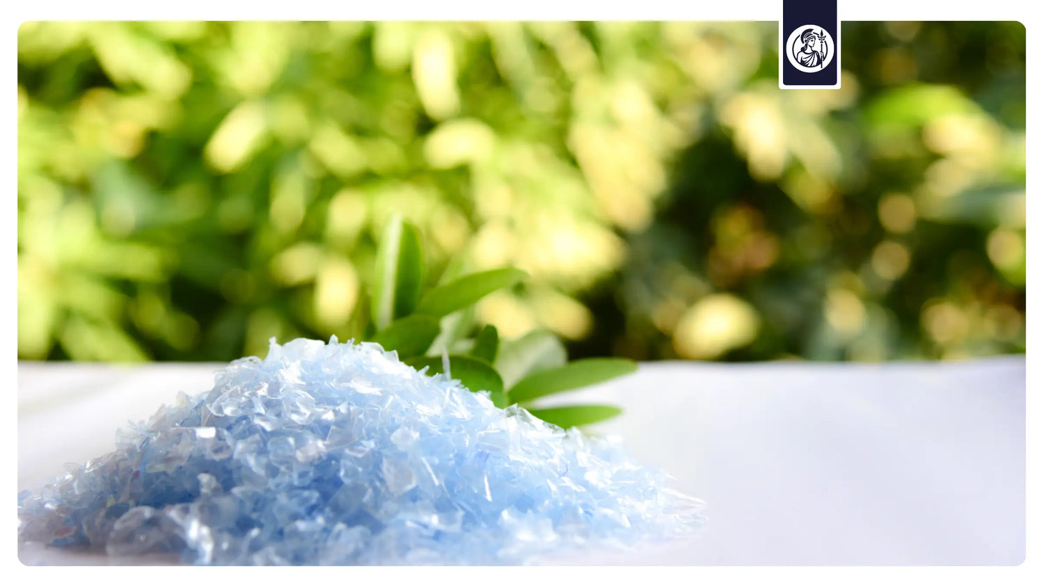 Mikroplastik & Zellgesundheit: Risiken, Forschung und Longevity-Strategien