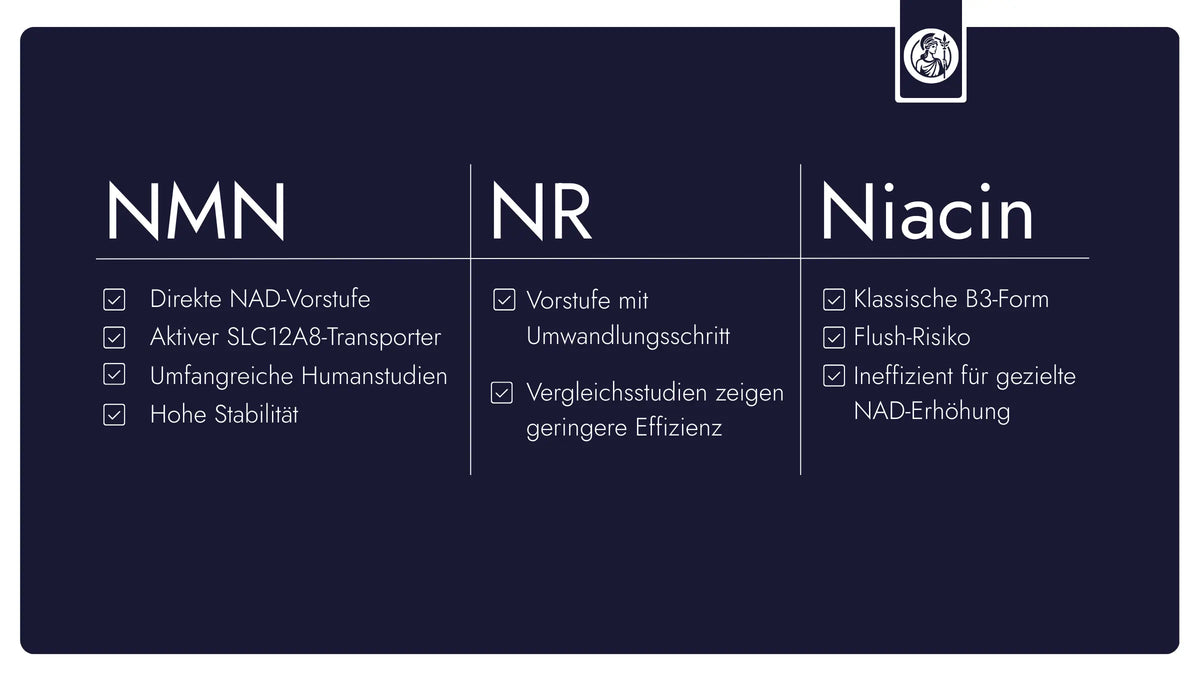Vergleichsgrafik zu NMN, NR und Niacin mit Unterschieden bei NAD⁺-Vorstufe, Aufnahme, Studienlage und Stabilität.