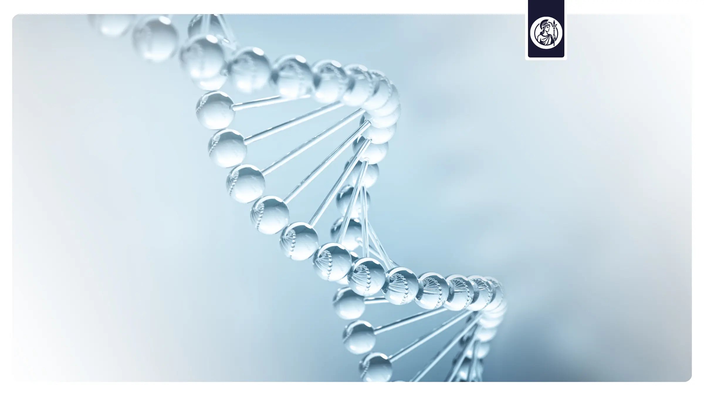 Dreidimensionale DNA-Doppelhelix als Symbol für Zellgesundheit, DNA-Reparatur und die Wirkung von NMN auf zelluläre Prozesse.