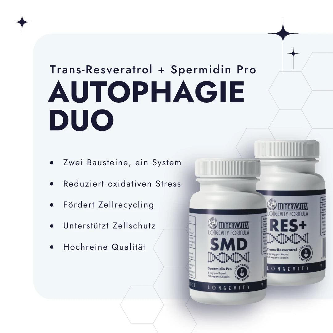 Das Autophagie-Duo vor weißem Hintergrund mit Bulletpoints
