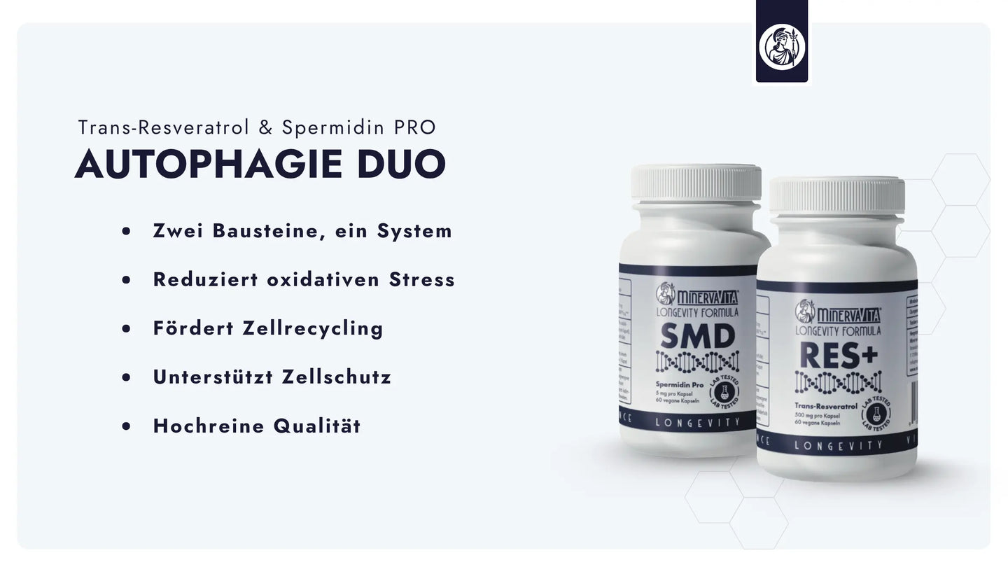 Das Autophagie-Duo von Minerva-Vita kombiniert Spermidin mit Tran-Resveratrol.
