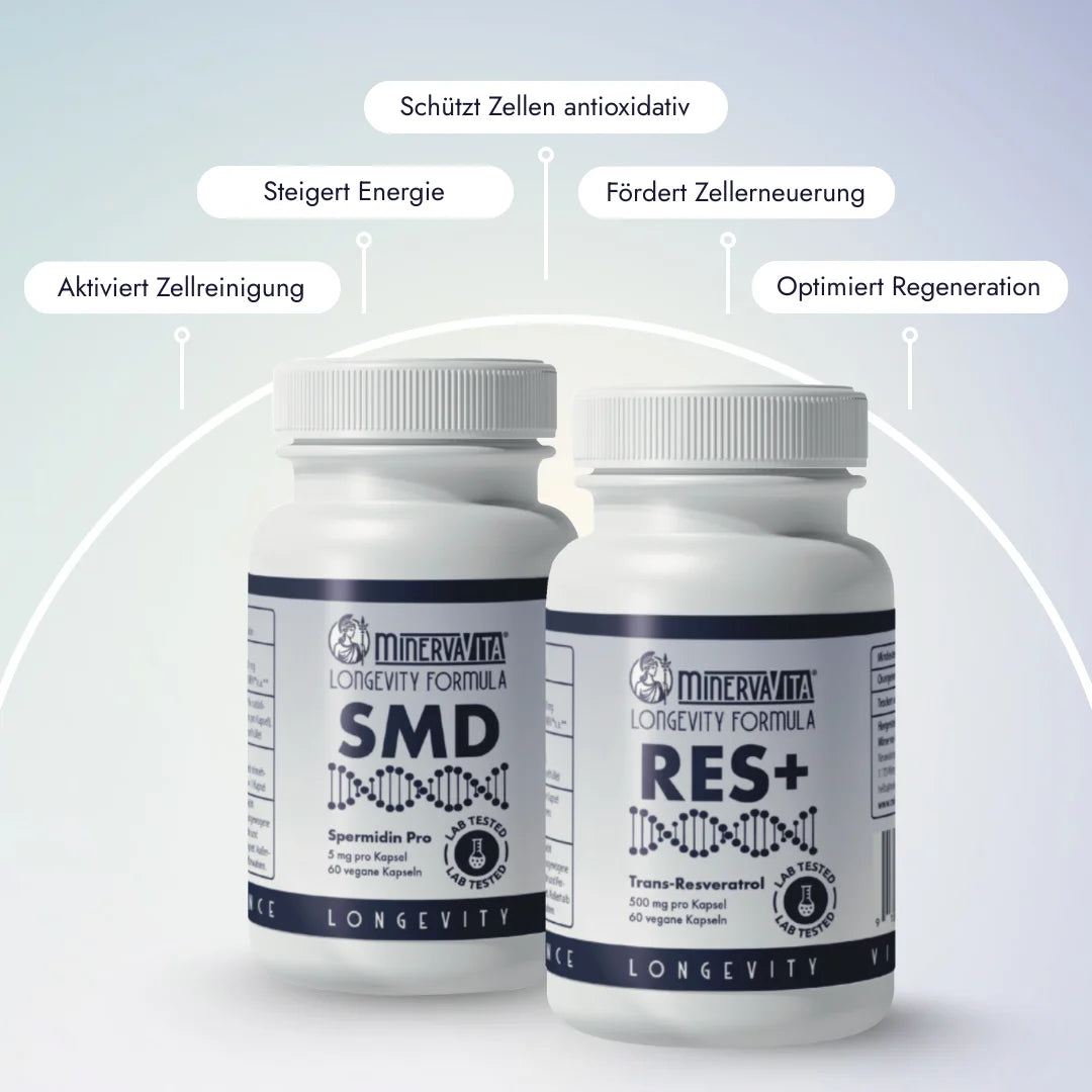 Autophagie-Duo – unterstützt Zellrecycling und Balance zwischen Regeneration und Langlebigkeit