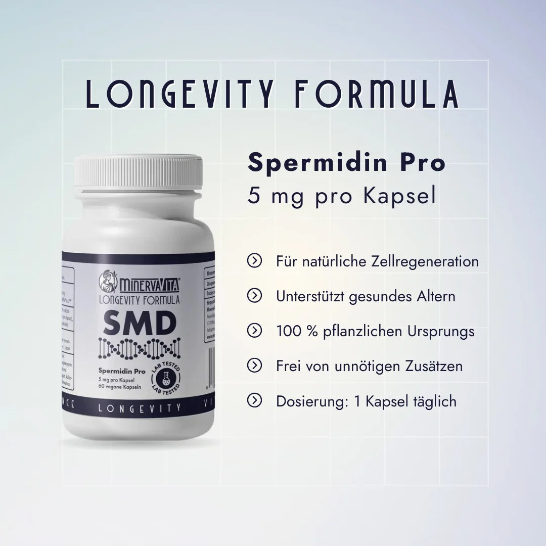 Spermidin Komplex mit Weizenkeim-Extrakt – unterstützt Zellrecycling, Energiehaushalt und Better-Aging