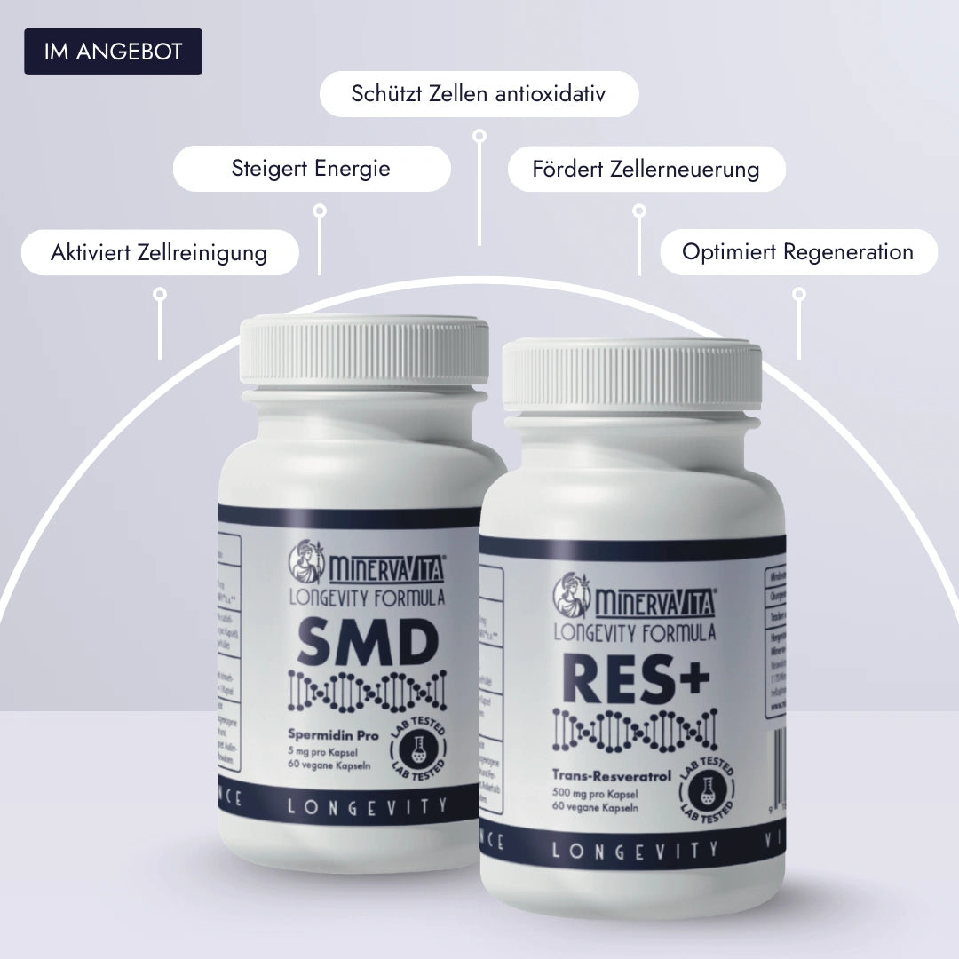 Autophagie-Duo von Minerva-Vita: Spermidin Pro und Trans-Resveratrol – zwei Longevity-Supplements zur Unterstützung von Zellreinigung, oxidativem Stressschutz und gesunder Zellerneuerung.