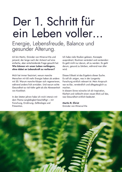 Erste Seite vom kostenlosen E Book