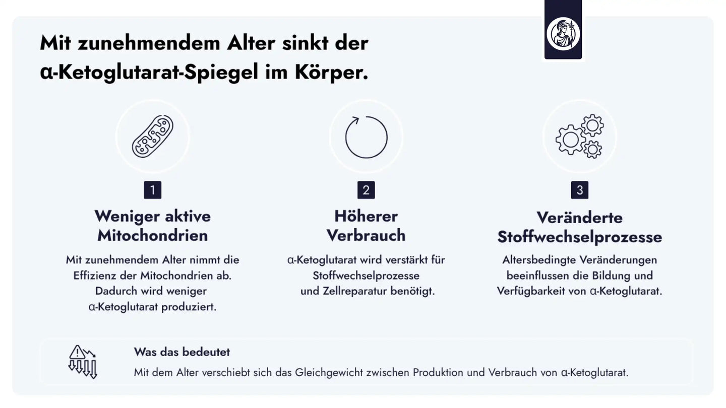 Mit zunehmendem Alter nimmt die Verfügbarkeit von α-Ketoglutarat ab, während der Bedarf im Zellstoffwechsel steigt.