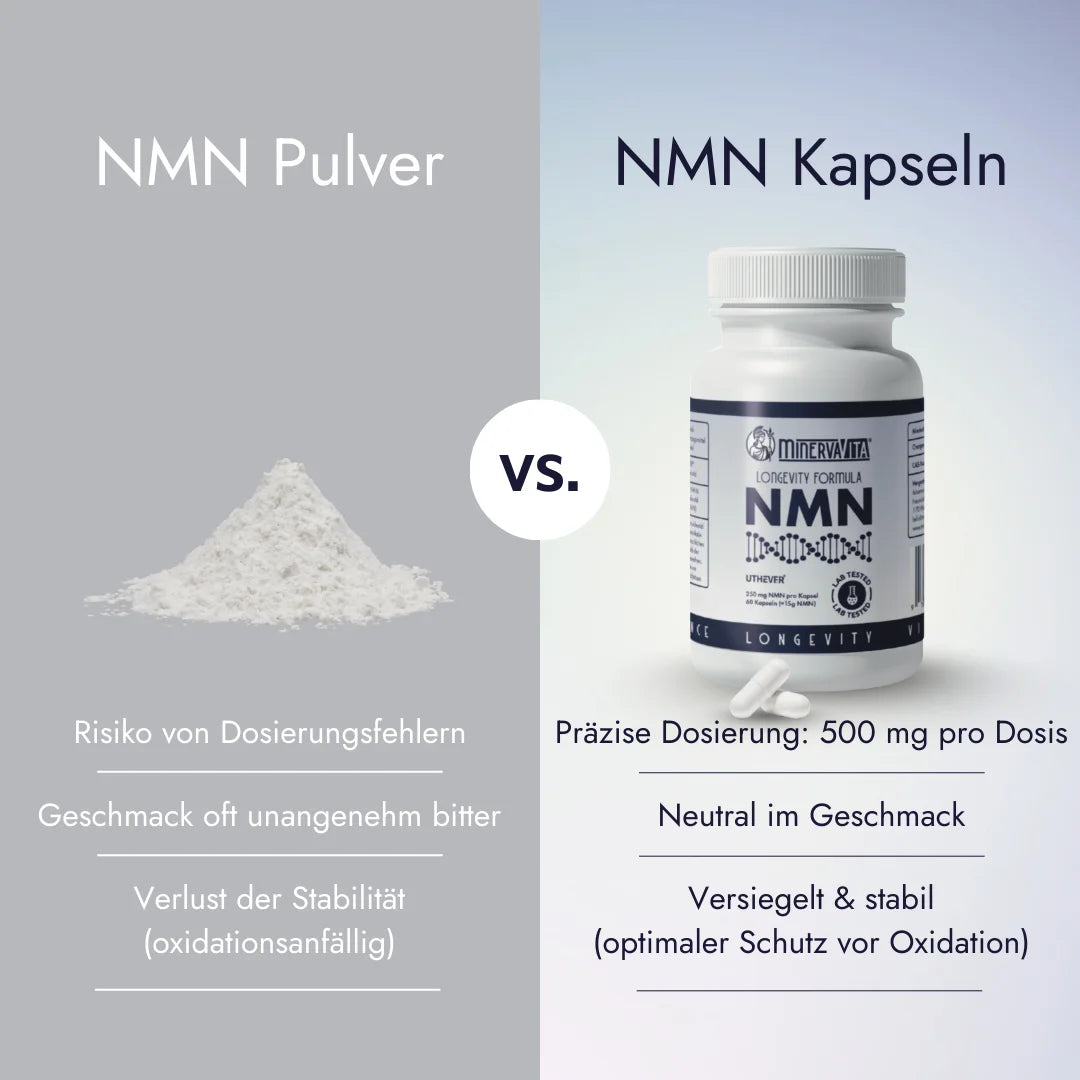 Vergleich NMN Pulver vs. NMN Kapseln von Minerva-Vita – Pulver instabil, bitter und schwer zu dosieren, Kapseln präzise, geschmacksneutral und oxidationsgeschützt.