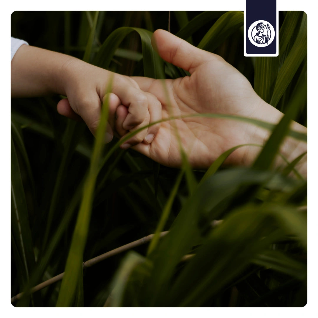 Erfahre mehr über die Mission und Philosophie von Minerva-Vita. Hände berühren sich im Gras.