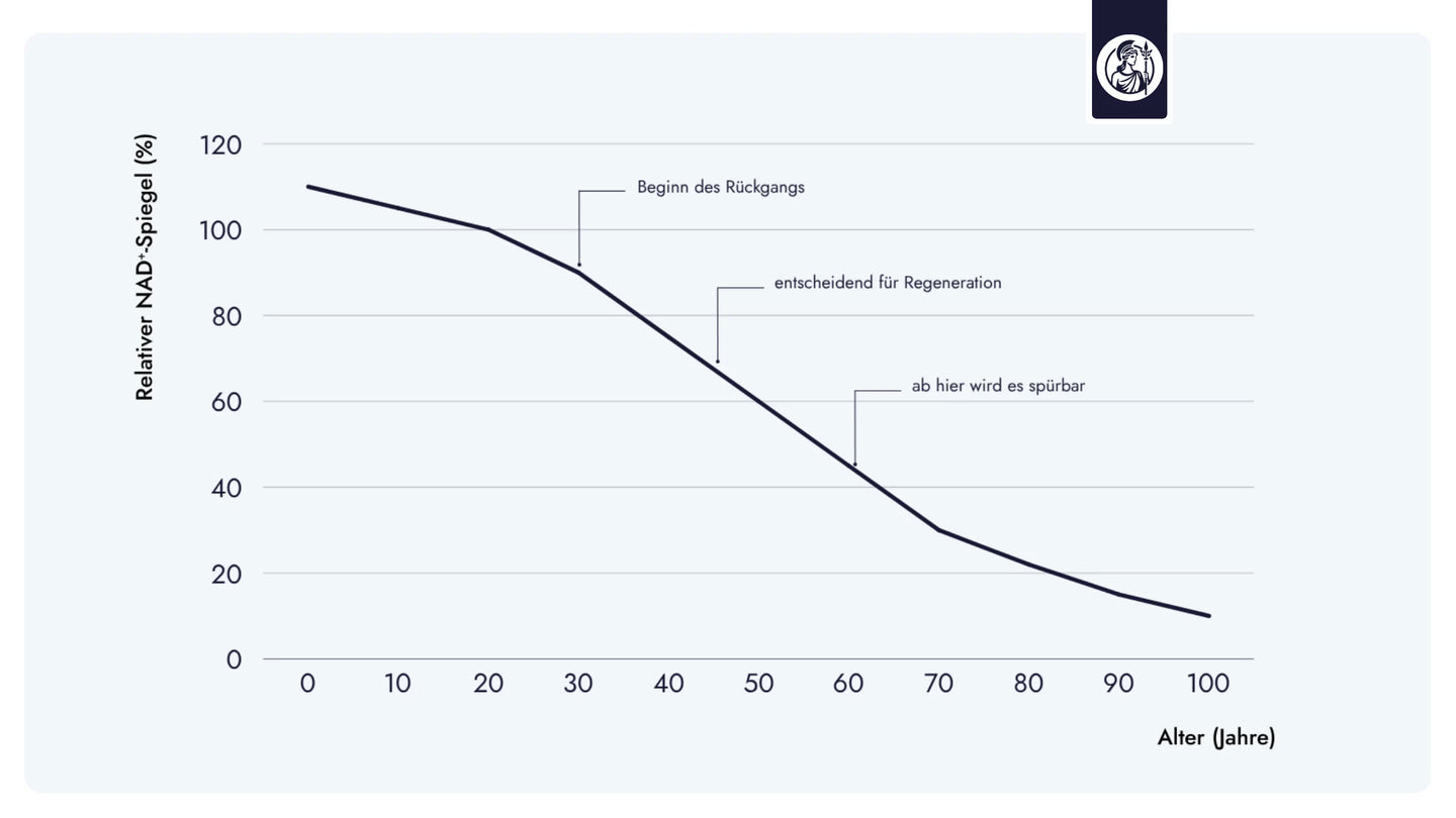 Schematische Darstellung basierend auf wissenschaftlichen Beobachtungen zum altersbedingten Rückgang von NAD+.