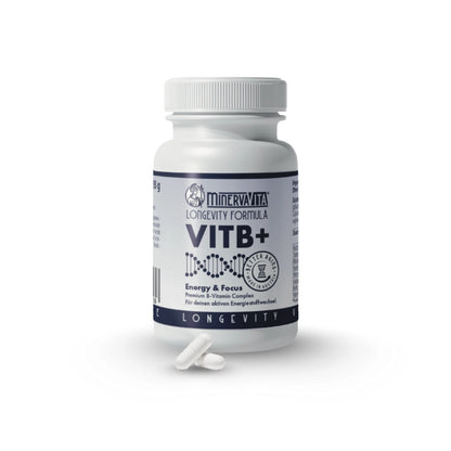 VITB+ B-Vitamin Komplex von Minerva-Vita – Premium Longevity Supplement für Energie, Nervenstärke und mentalen Fokus.