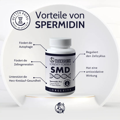 Vorteile von Spermidin Kapseln mit 5 mg - Minerva-Vita