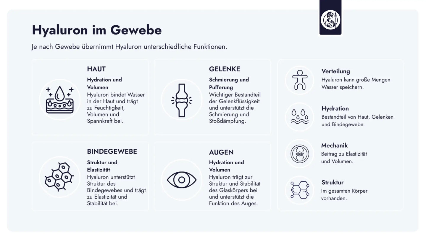 Hyaluron ist im gesamten Körper verteilt und erfüllt je nach Gewebe unterschiedliche strukturelle und funktionelle Aufgaben.
