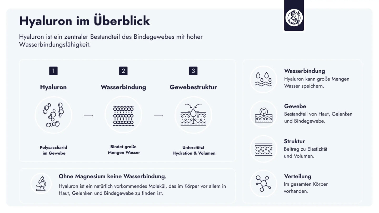 Hyaluron ist ein zentraler Bestandteil des Bindegewebes und unterstützt durch seine hohe Wasserbindungsfähigkeit die Hydration, Struktur und Elastizität verschiedener Gewebe im Körper.
