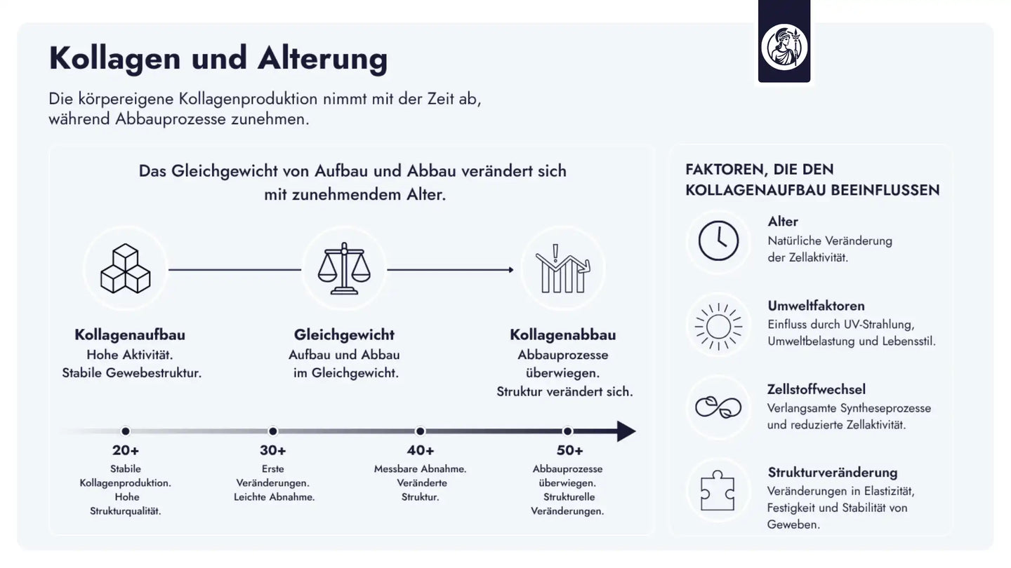 Mit zunehmendem Alter verschiebt sich das Gleichgewicht zwischen Kollagenaufbau und -abbau, wodurch Struktur, Elastizität und Stabilität von Geweben beeinflusst werden.