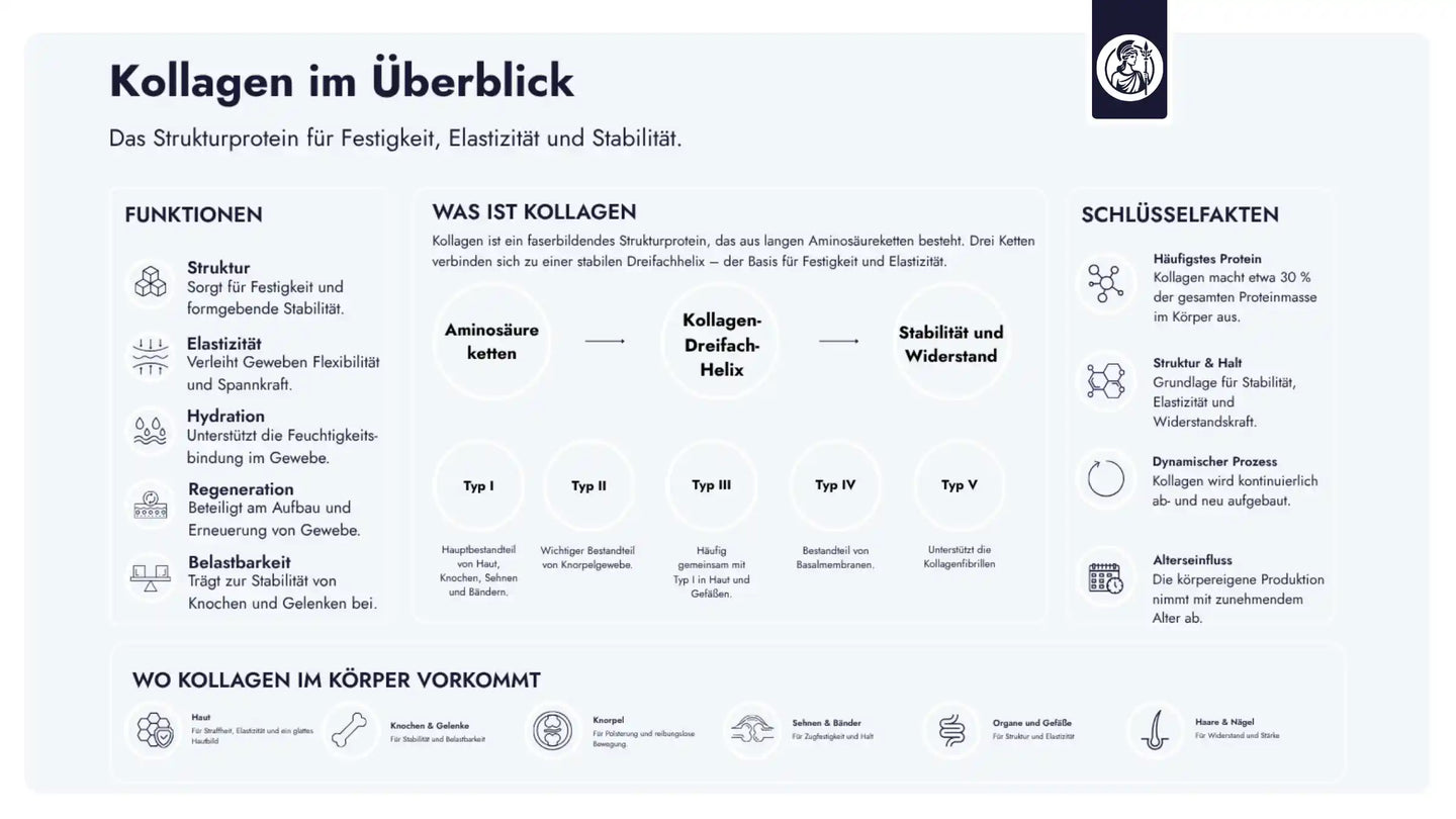 Kollagen ist das häufigste Protein im menschlichen Körper. Es bildet die strukturelle Grundlage von Haut, Knochen, Knorpeln, Sehnen, Bändern und weiteren Geweben.