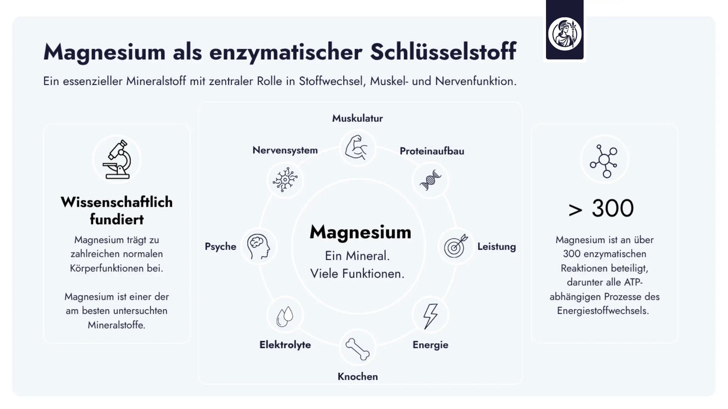 Magnesium ist Kofaktor für über 300 Enzyme und spielt eine zentrale Rolle in ATP-abhängigen Prozessen sowie im Energiestoffwechsel.