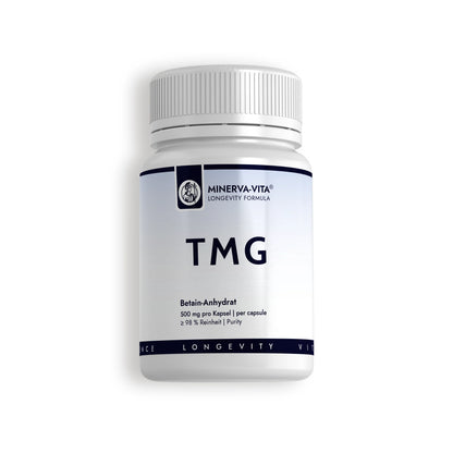 Minerva-Vita TMG Betain-Anhydrat mit 500 mg Trimethylglycin pro Kapsel und mindestens 98 % Reinheit – Produktdose auf weißem Hintergrund.