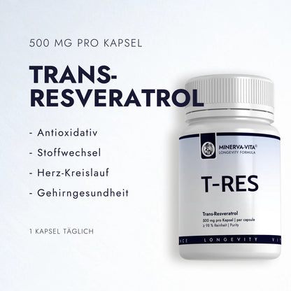 Minerva-Vita T-RES Trans-Resveratrol mit 500 mg pro Kapsel – Infografik zu antioxidativen Forschungsansätzen, Stoffwechsel und Herz-Kreislauf.