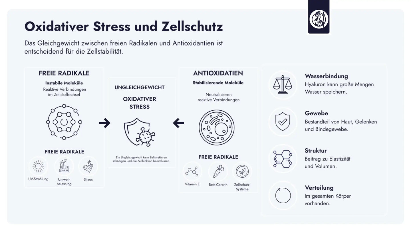 Oxidativer Stress kann die Lipidstruktur der Zellmembran beeinflussen und damit Stabilität, Durchlässigkeit und Funktion von Zellen verändern.
