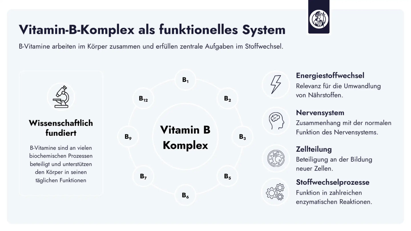 Der Vitamin-B-Komplex umfasst acht essenzielle B-Vitamine, die im Körper zusammenwirken und zentrale Funktionen im Stoffwechsel erfüllen.