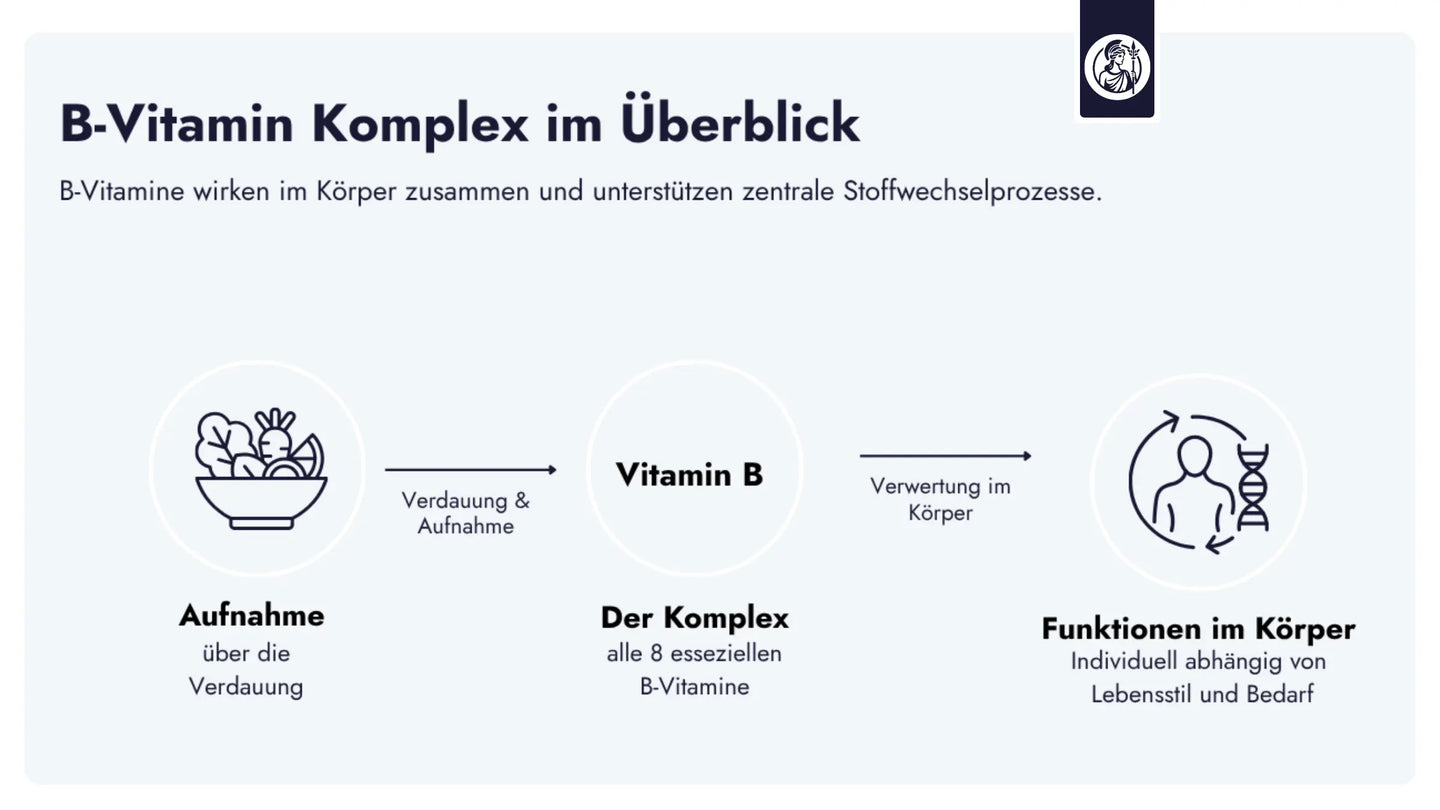 Der Vitamin-B-Komplex umfasst acht essenzielle B-Vitamine, die gemeinsam zentrale Funktionen im Stoffwechsel, der Zellbildung und im Nervensystem unterstützen.