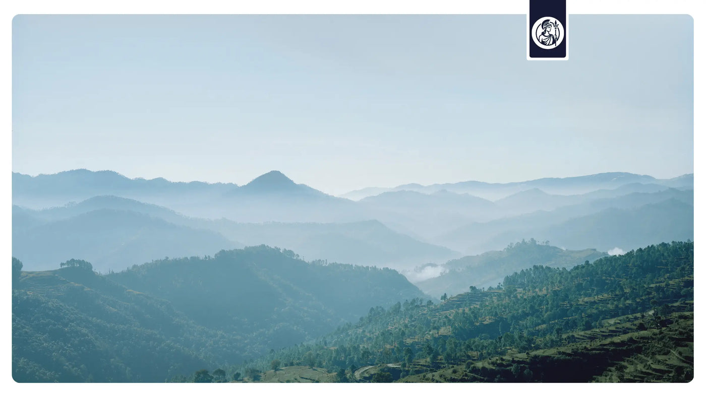 Weite Landschaft mit sanften Bergen und Nebel als symbolische Darstellung von Zellalterung und der Reduktion seneszenter „Zombie-Zellen“ für Longevity und Better Aging.